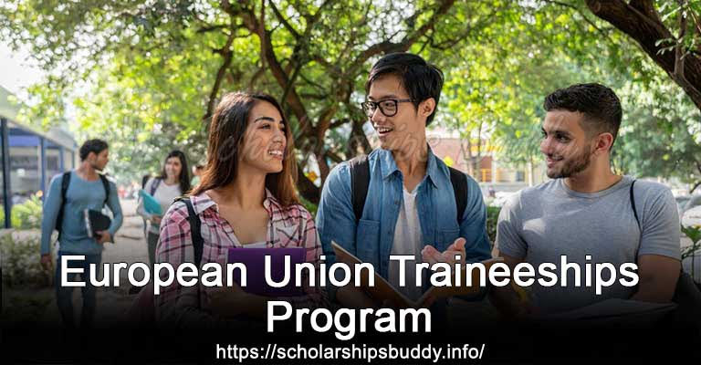 European Union Traineeships Program