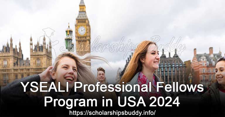 YSEALI Professional Fellows Program in USA 2024